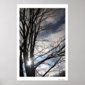 メープルスカイ ポスター (正面)