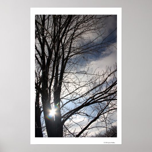 メープルスカイ ポスター (正面)