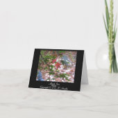 メープルゼンノテカード カード (裏面)