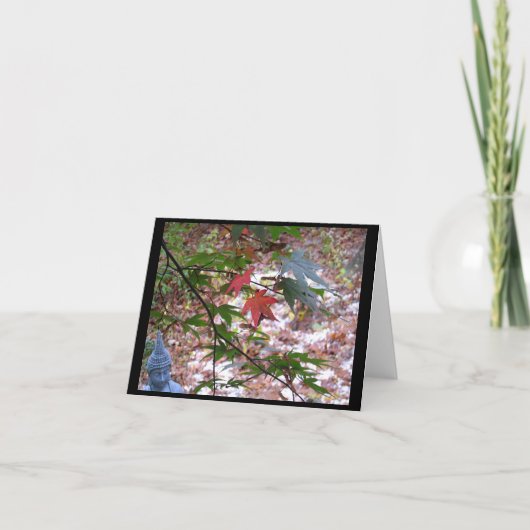 メープルゼンノテカード カード (正面)