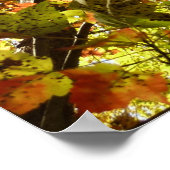 メープルツリーの緑と金ゴールドの秋色の変更 ポスター (角)