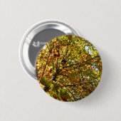 メープルツリーの緑と金ゴールドの秋色の変更 缶バッジ (正面&裏面)