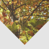 メープルツリーの緑と金ゴールドの秋色の変更 薄葉紙 (詳細)