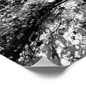 メープルツリーインクブロ写真 ポスター (角)