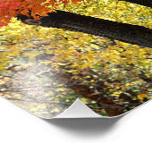 メープルツリーフォトプリント フォトプリント (角)