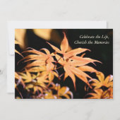 メープルツリー1お祝い·オブ·ライフメモリアル 招待状 (正面)