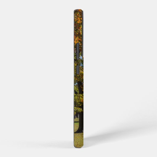 メープルパーク秋ガゼボサムスンギャラクシーケース SAMSUNG GALAXYケース (右側面)