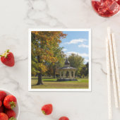 メープルパーク秋ガゼボ スタンダードカクテルナプキン (インサイチュ)