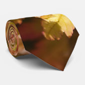 メープルモダン日本のタイ ネクタイ (ロール)