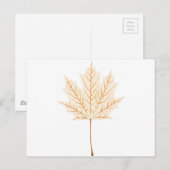 メープルリーフのスケルトン ポストカード (正面/裏面)