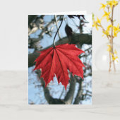 メープルリーフグリーティングカード カード (黄色い花)