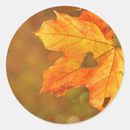 メープルリーフハート ラウンドシール (正面)