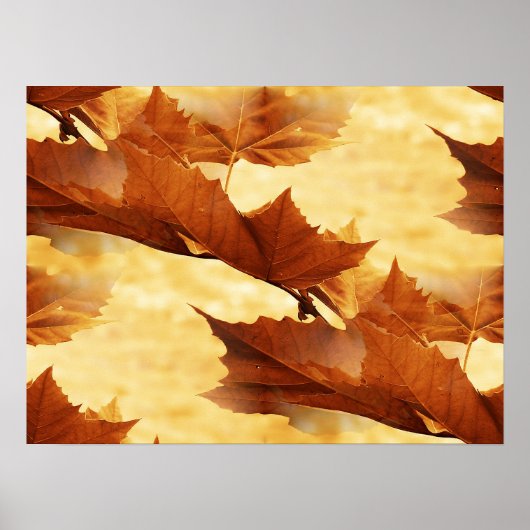 メープルリーフポスター ポスター (正面)