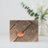 メープルリーフミニマル秋写真 ポストカード (スタンド正面)