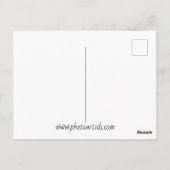 メープルリーフミニマル秋写真 ポストカード (裏面)