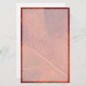 メープルリーフ固定 便箋 (正面/裏面)