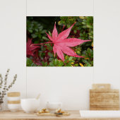 メープルリーフ日本の ポスター (キッチン)