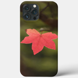 メープルリーフ自然写真 iPhone 13 PRO MAXケース