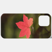 メープルリーフ自然写真 Case-Mate iPhoneケース (裏面 (横))