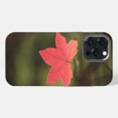 メープルリーフ自然写真 iPhoneケース (裏面横)