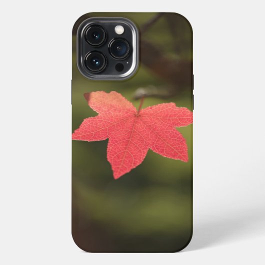 メープルリーフ自然写真 iPhoneケース (裏面)