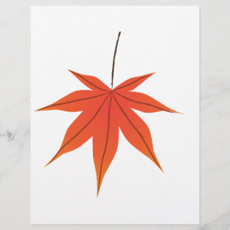 メープルリーフ チラシ