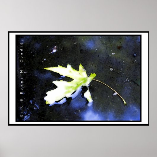 メープルリーフI ポスター (正面)