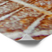 メープル凍っていポスター ポスター (角)