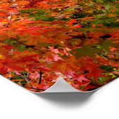 メープル日本のイン秋 ポスター (角)