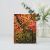 メープル日本のイン秋 ポストカード (スタンド正面)