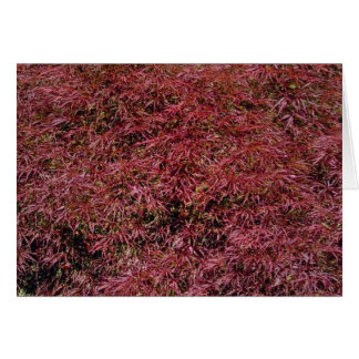 メープル日本のカード