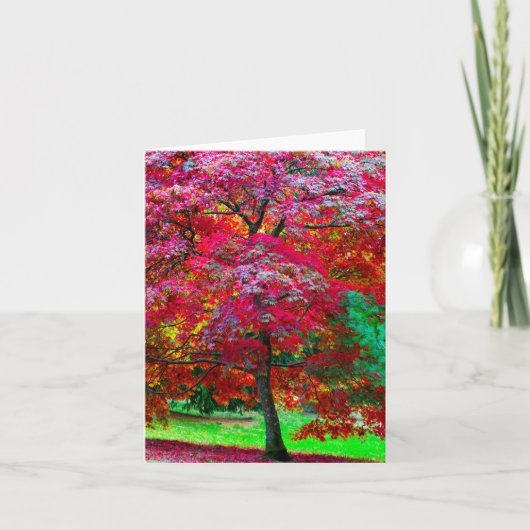 メープル日本のツリーのグリーティングカード カード (正面)