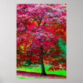 メープル日本のツリーのポスター ポスター (正面)