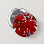 メープル日本のツリー 缶バッジ (正面&裏面)