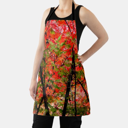 メープル日本の エプロン (インサイチュ)