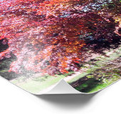 メープル日本の フォトプリント            (角)