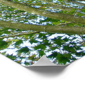 メープル日本の ポスター (角)