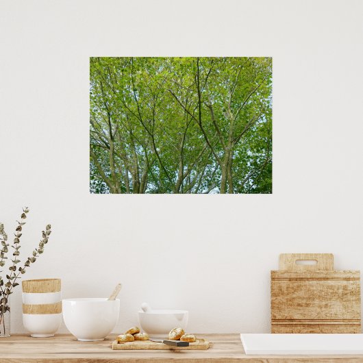 メープル日本の ポスター (キッチン)