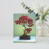 メープル日本の ポストカード (スタンド正面)