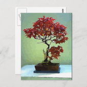 メープル日本の ポストカード (正面/裏面)