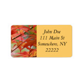 メープル日本の ラベル (正面)