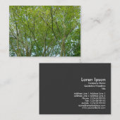 メープル日本の 名刺 (正面/裏面)