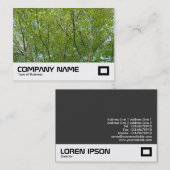 メープル日本の 名刺 (正面/裏面)