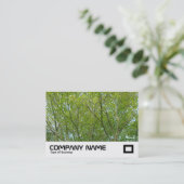 メープル日本の 名刺 (スタンド正面)