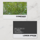 メープル日本の 名刺 (正面/裏面)