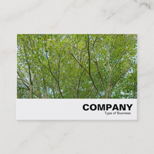 メープル日本の 名刺 (正面)