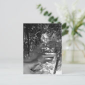 メープル春はがき – 1 ポストカード (スタンド正面)