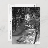 メープル春はがき – 1 ポストカード (正面/裏面)