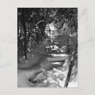 メープル春はがき – 1 ポストカード