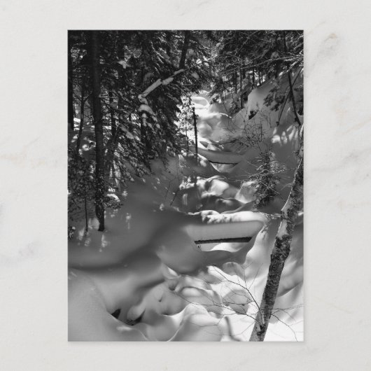 メープル春はがき – 1 ポストカード (正面)